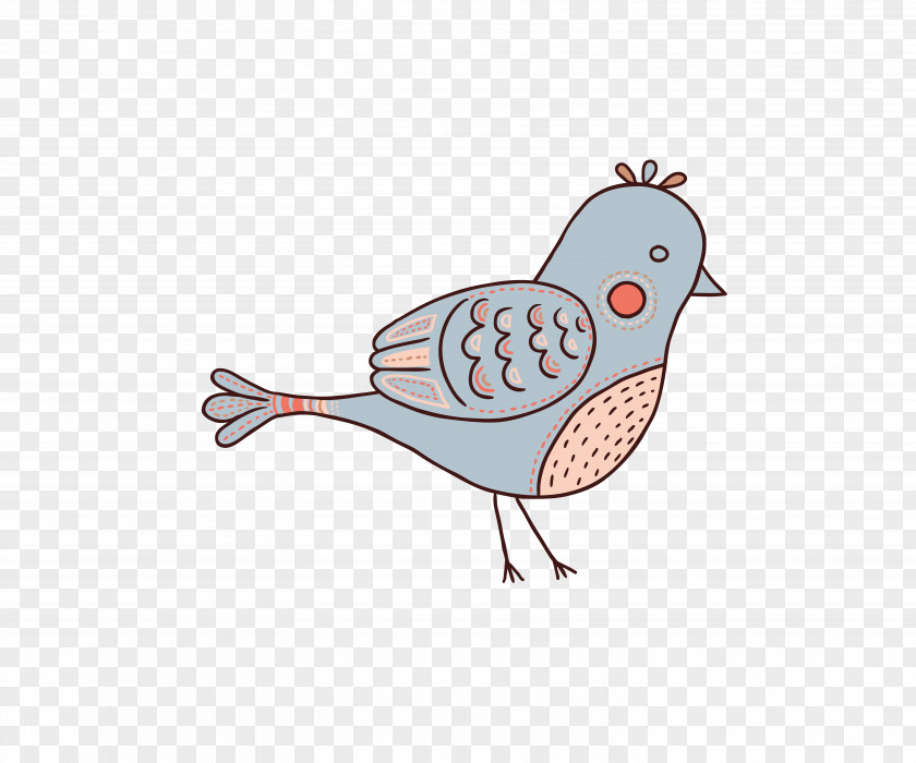Vector Animation Cartoon Material Bird Chicken PNG