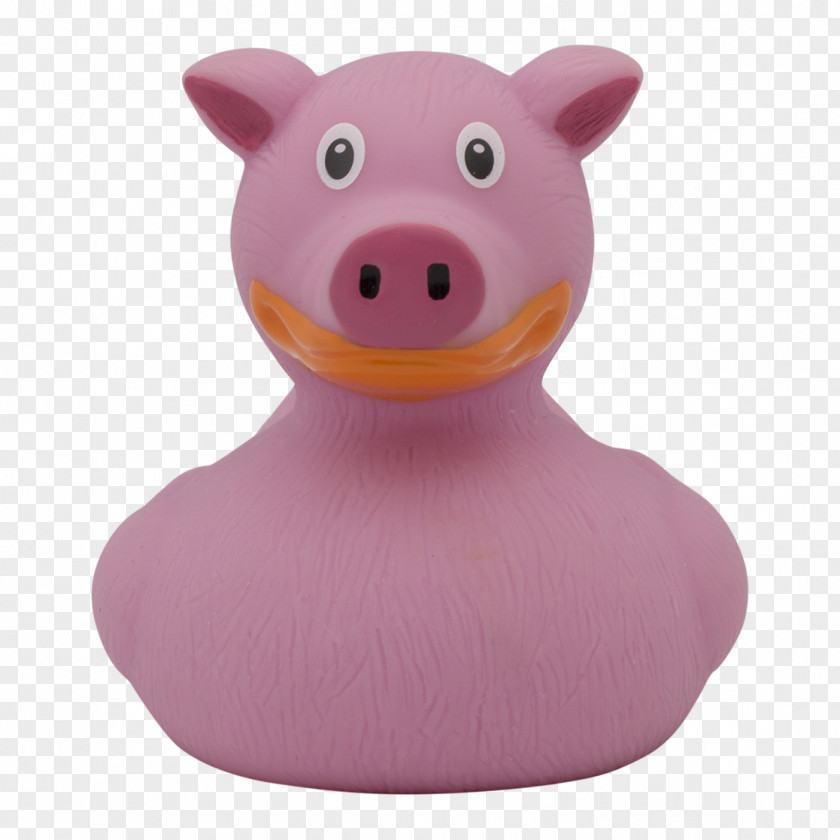 Duck Rubber Pig Animal Natural PNG