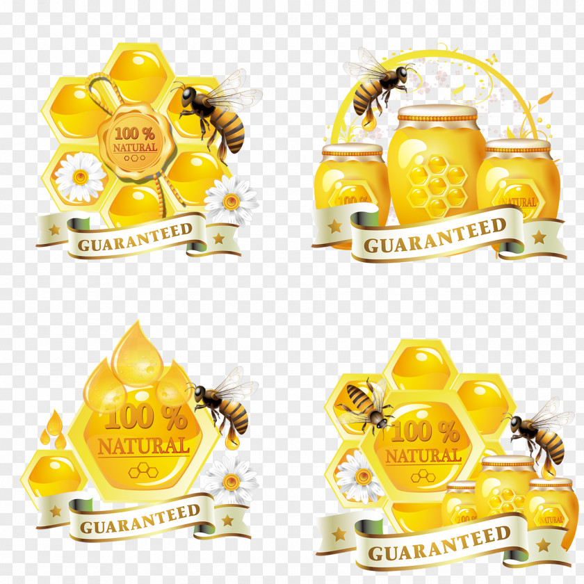 Honey Bee Honeycomb PNG