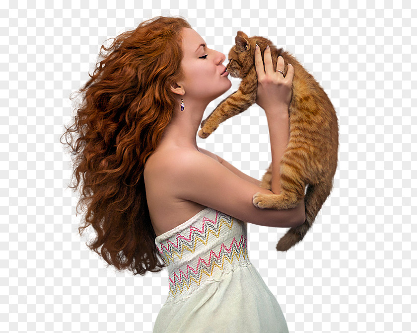 Photography Бойжеткен Portrait Cat Red Hair PNG