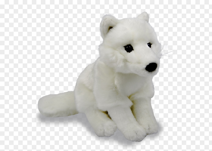 Arctic Fox Image Transparency PNG