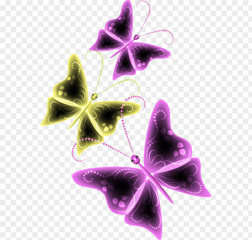 Butterfly Insect Animaatio Clip Art PNG