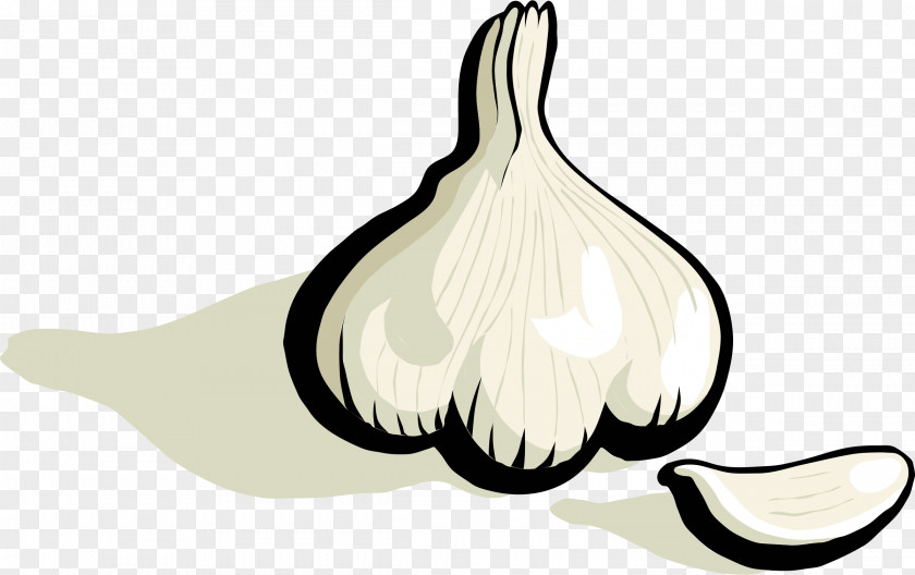 Garlic Bread Onion Clip Art PNG