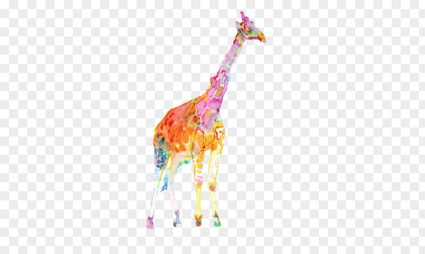 Giraffe Color Clips Picture Colorful Watercolor Painting Illustration PNG