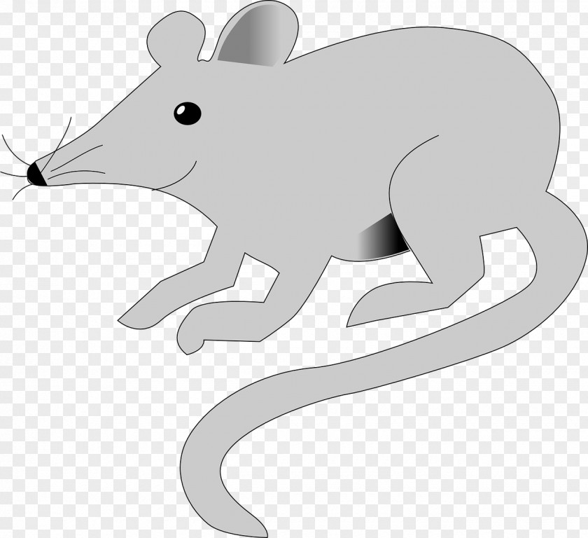 Rat Rodent Mouse Insect Polynesian Animal PNG