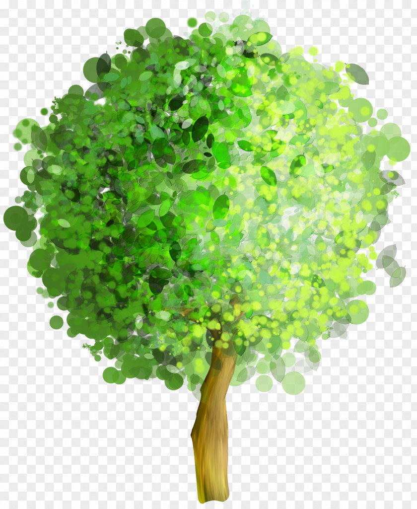 Green Art Tree Clipart Clip PNG