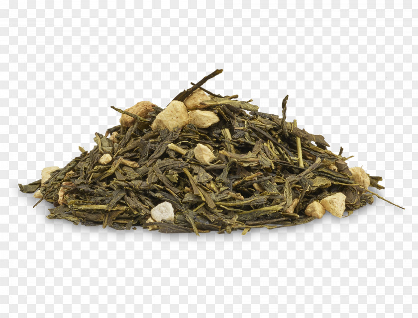 Green Tea Hōjicha Nilgiri Oolong PNG