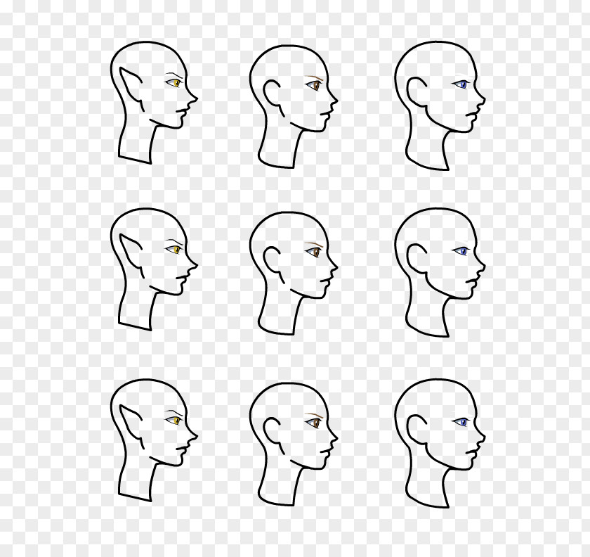 Hairstyle Template Face Drawing Female PNG