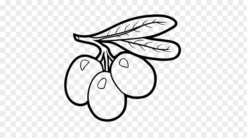 Olive Branch Coloring Book Child Fruit PNG