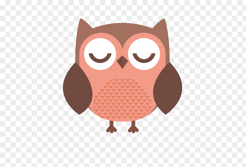 Owl T-shirt PNG