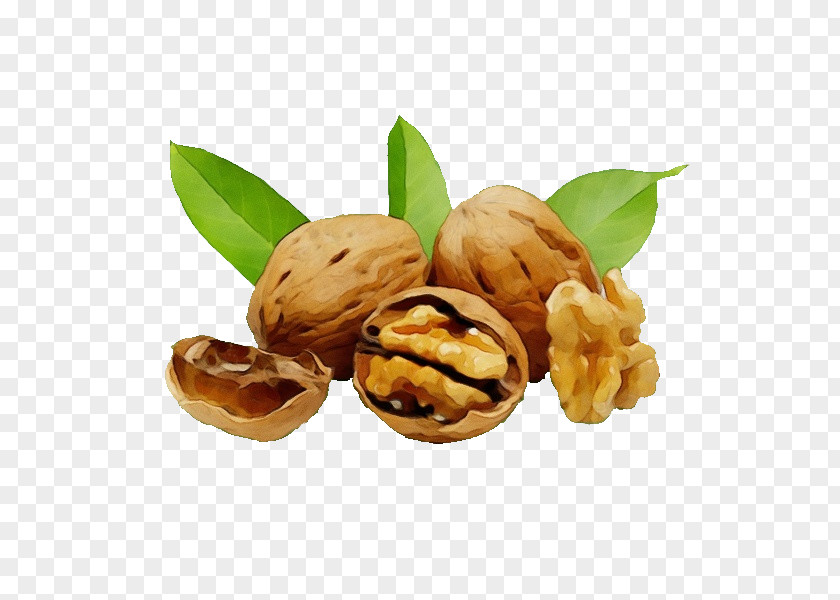Pistachio Cuisine Walnut Tree PNG