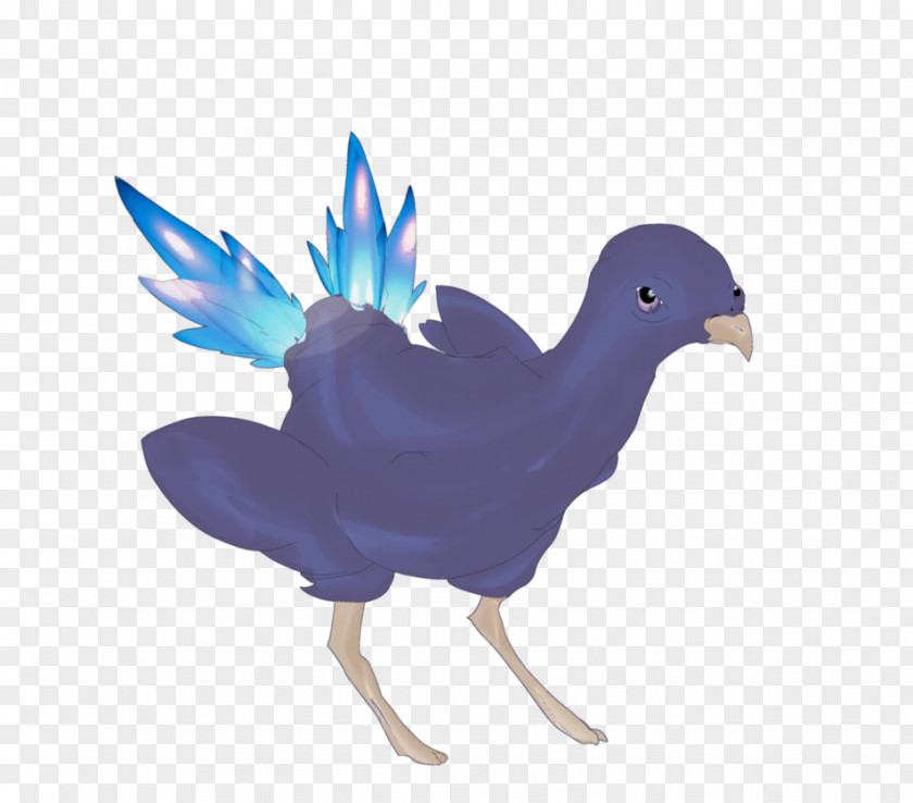 Bird Beak Cobalt Blue Feather Wing PNG
