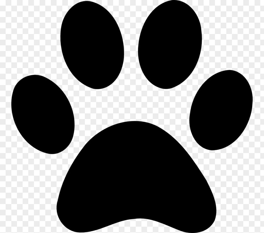 Cat Aldie Veterinary Hospital Paw Footprint Clip Art PNG