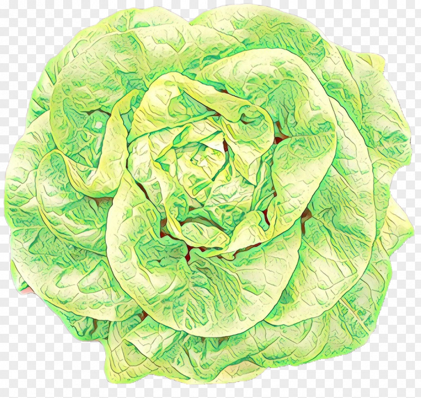 Cruciferous Vegetables Plant Cabbage Leaf Vegetable Lettuce Iceburg Flower PNG