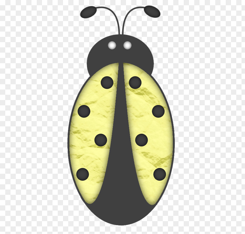 Yellow Spots Beetle Ladybird PNG