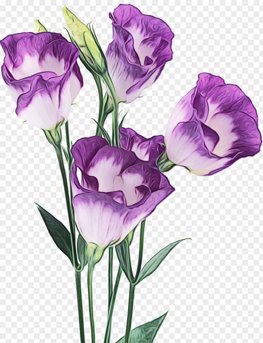 Artificial Flower Watercolor Paint Purple PNG