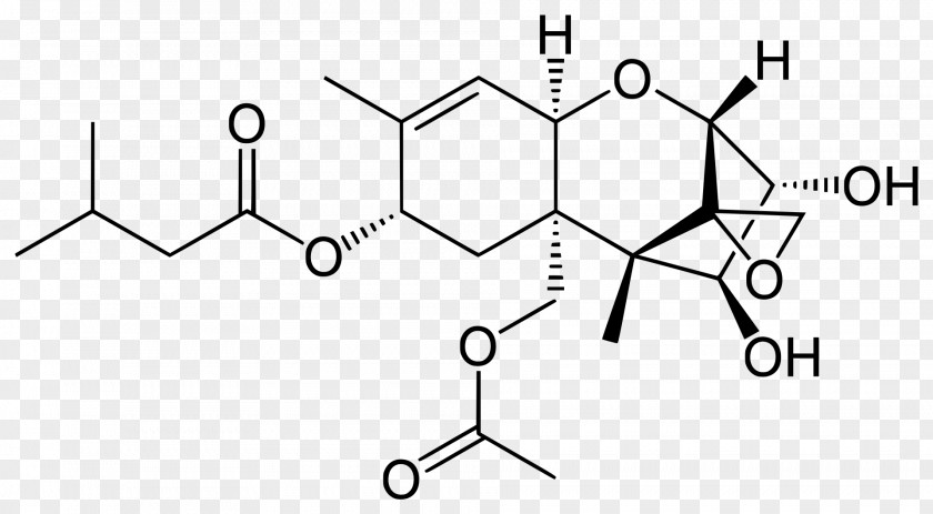 Brønsted–Lowry Acid–base Theory Guanosine Triphosphate Ethanol Acetic Acid PNG
