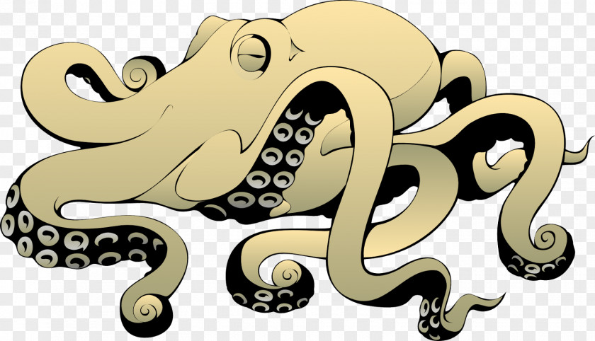 Common Octopus Coleoids Clip Art PNG