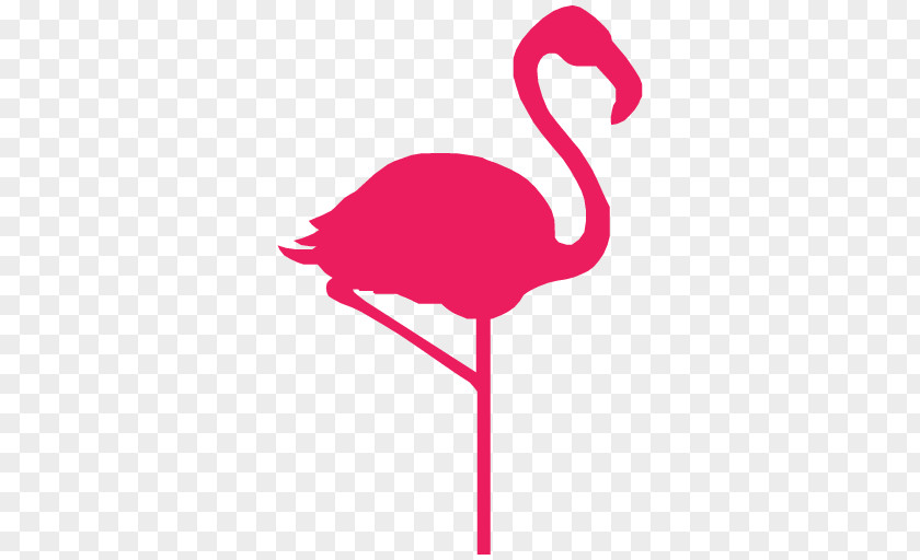 Flamingo Map Flamingos Hello Ltd Clip Art PNG