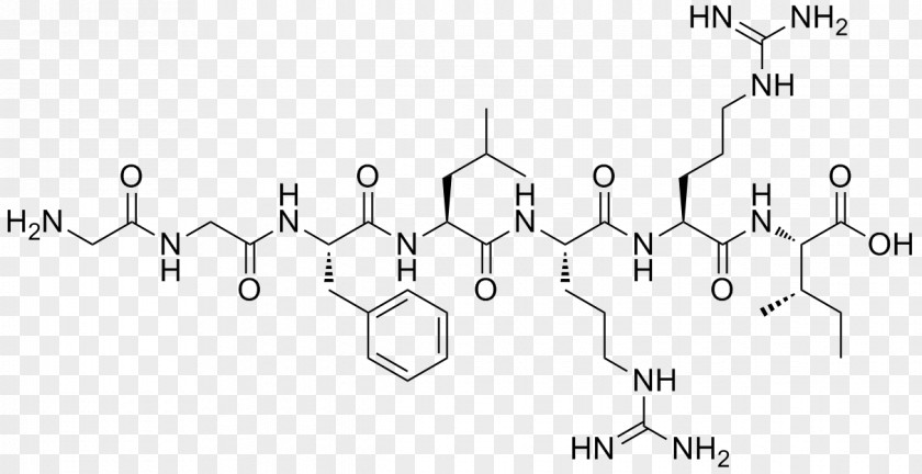 Nonribosomal Peptide Endorphins Opioid Receptor PNG