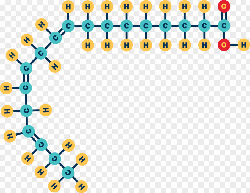 Omega 3 Acid Gras Omega-3 Omega-6 Fatty Double Bond Monounsaturated Fat PNG