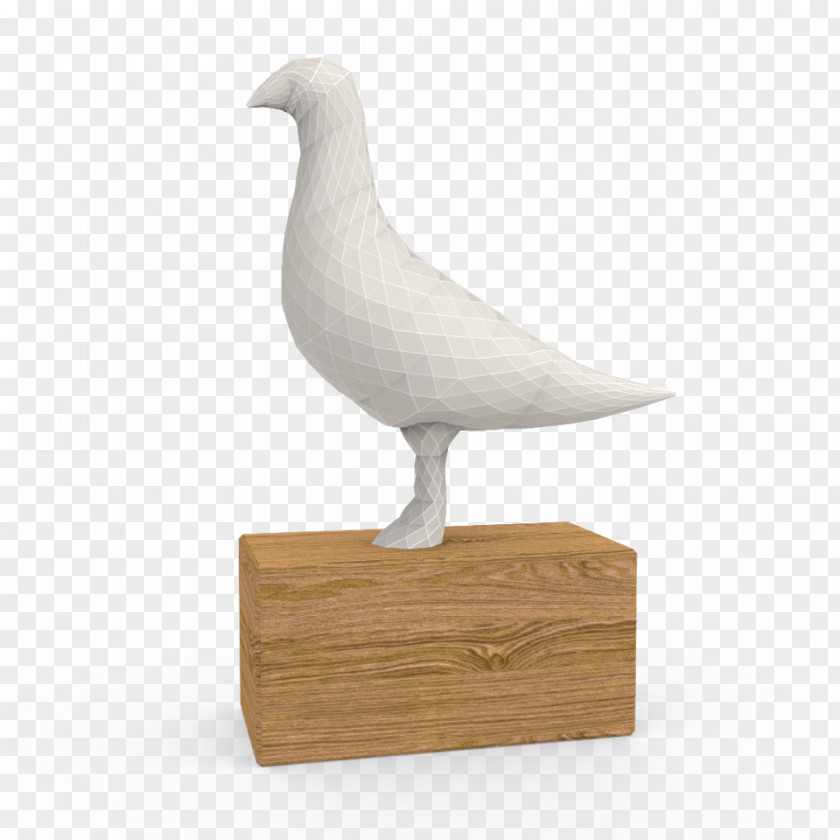 Racing Trophy Homing Pigeon Columbidae Award PNG