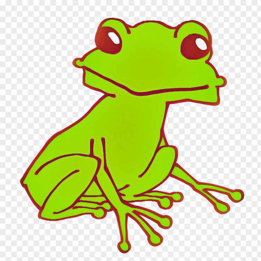 Toad True Frog Frogs Tree Amphibians PNG