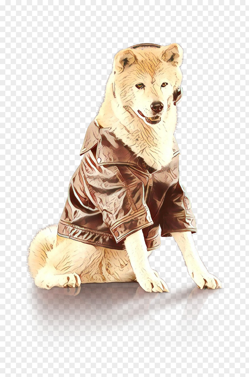 Beige Fur Dog And Cat PNG