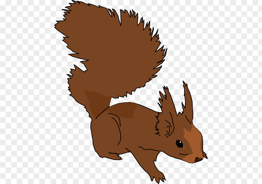 Cartoon Pictures Of Squirrels Squirrel Clip Art PNG