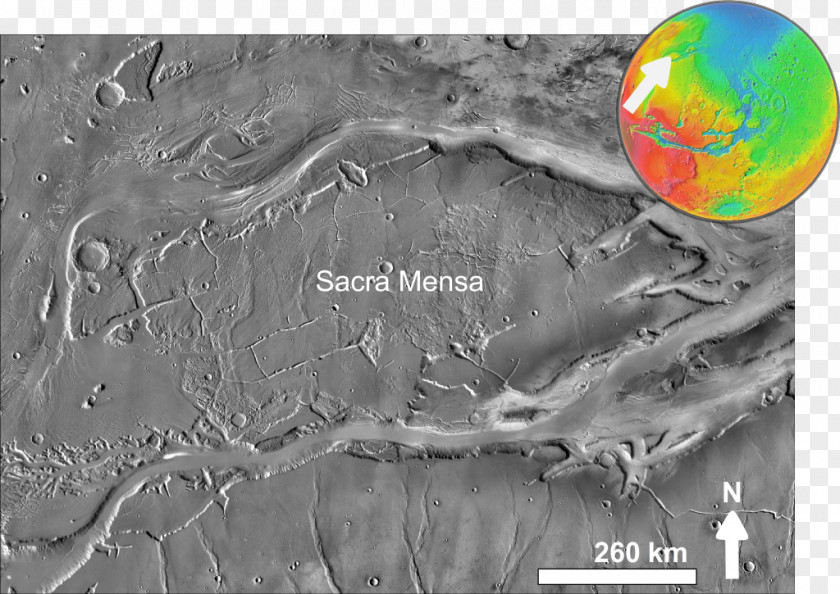 Earth /m/02j71 Map Organism Tuberculosis PNG