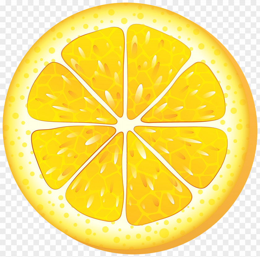 Meyer Lemon Lime Slice PNG