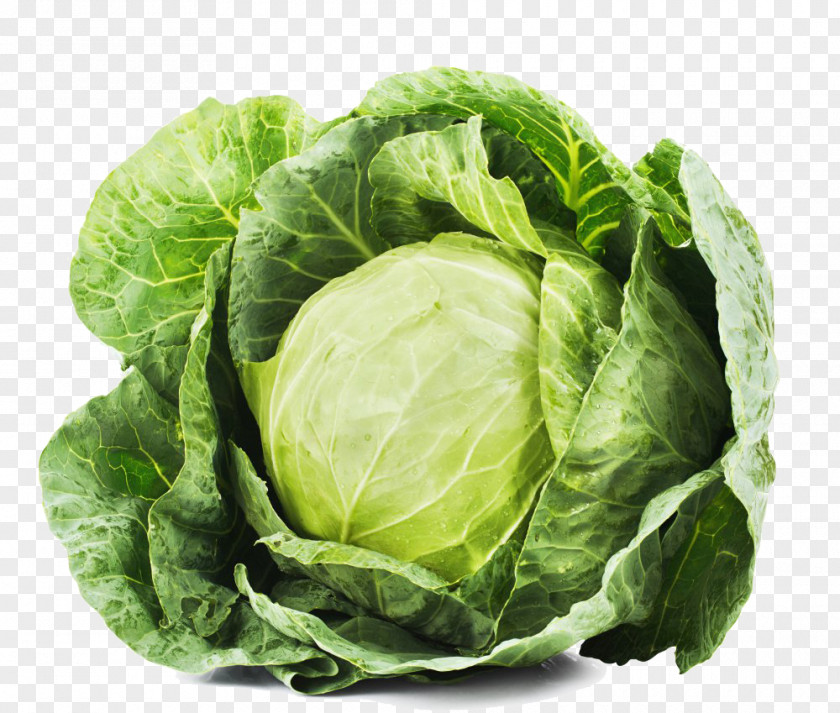 Cabbage Red Leaf Vegetable Food PNG