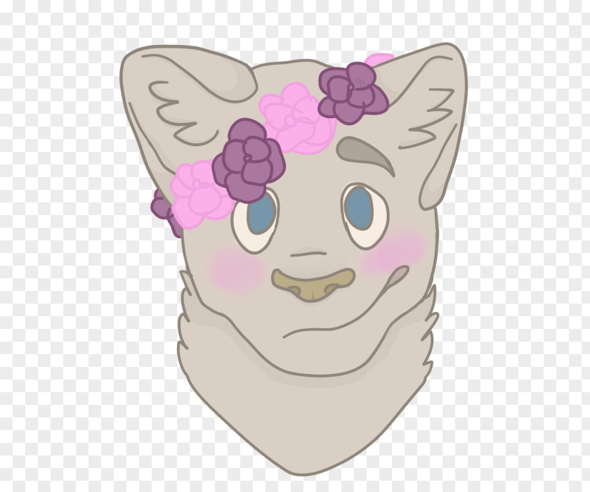 Cat Whiskers Snout Pink M PNG