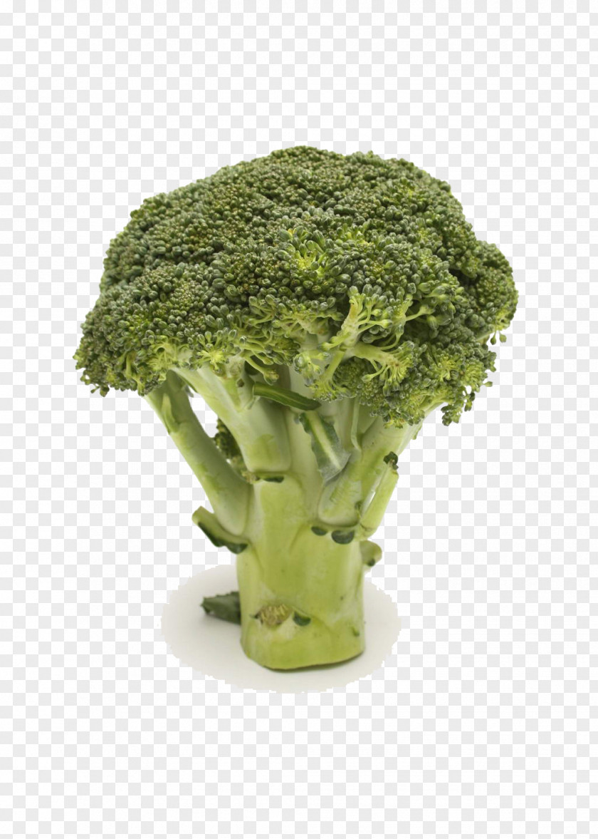 Cauliflower Broccoli Vegetable Food Health PNG