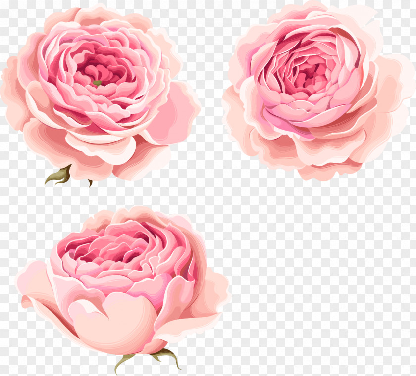 Hand-painted Beautiful Pink Peony Flowers PNG