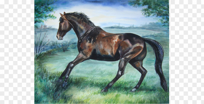 Painting Stallion Watercolor Foal Mustang PNG