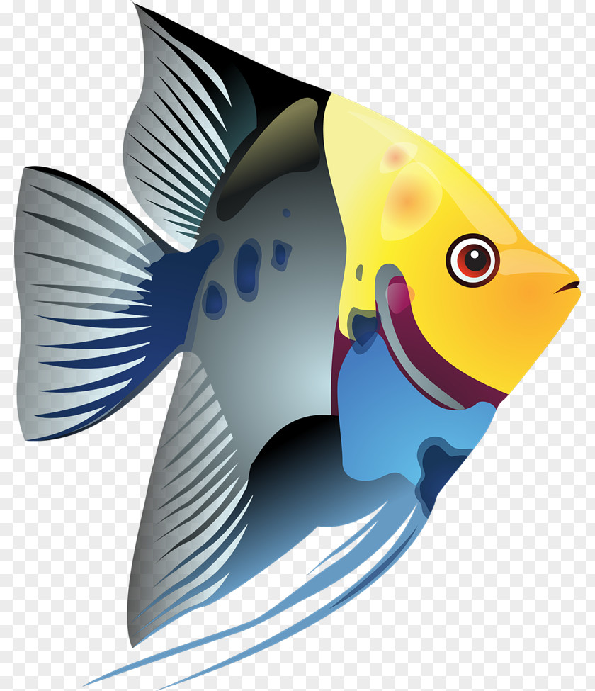 Tropical Fish Cliparts Clip Art PNG