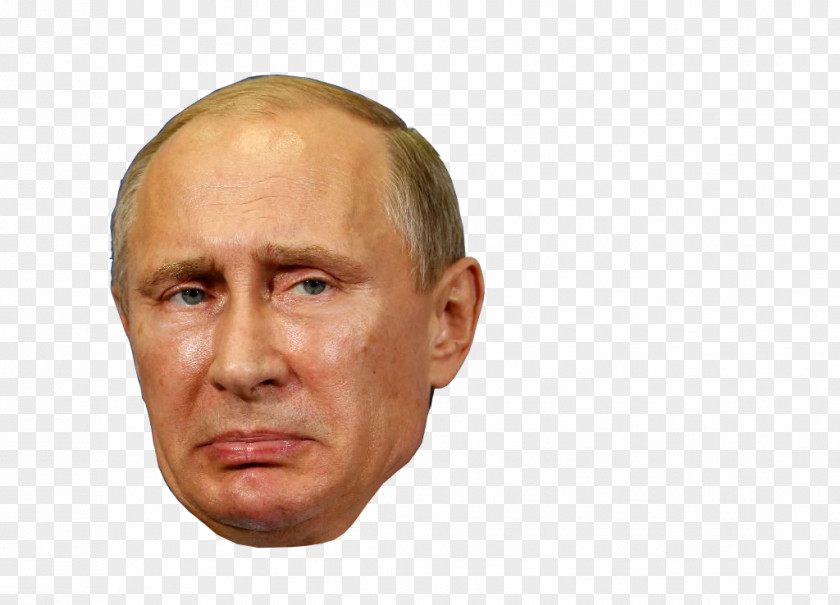 Vladimir Putin President Of Russia G20 State Duma PNG
