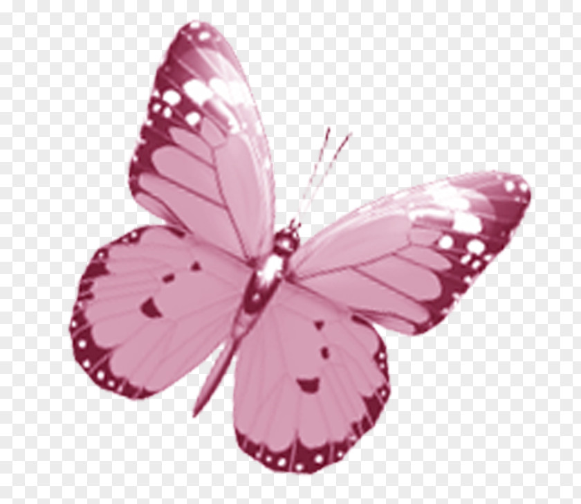 Watercolor Butterfly Drawing Pink Clip Art PNG