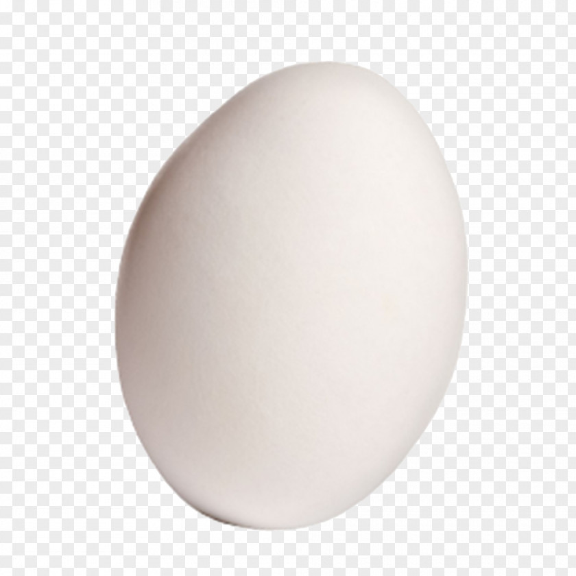 A Goose Domestic Egg PNG