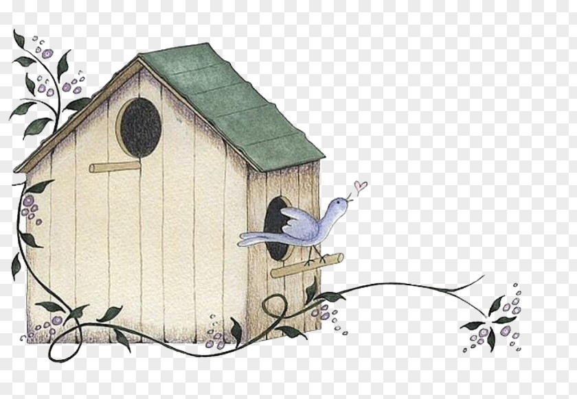 Bird House Drawing PNG