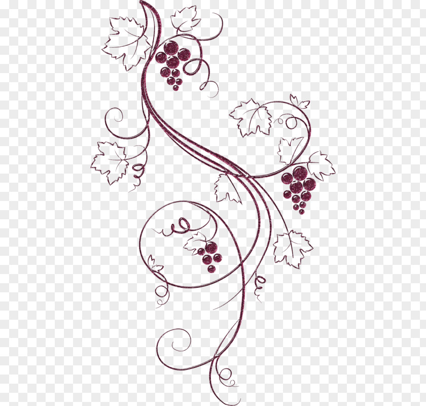 Grapes Sketch Easy Common Grape Vine Wine Drawing Clip Art PNG
