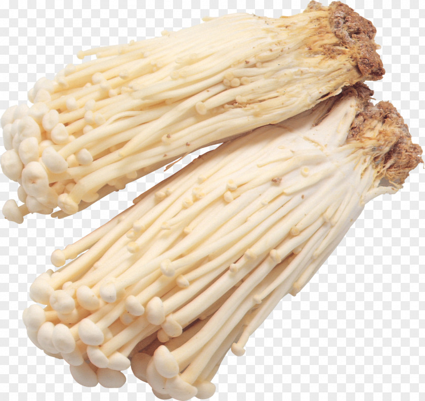 Mushroom Enokitake Food Vegetable Fungus PNG