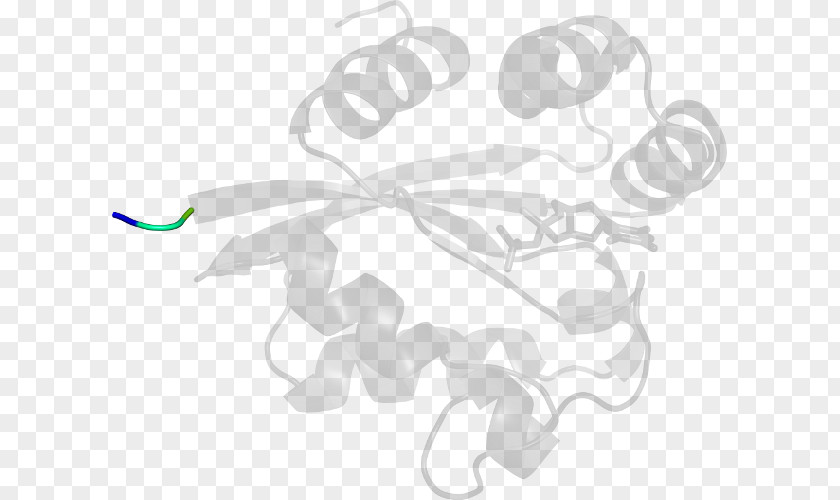 Trichlorophenol Petal White Clip Art PNG