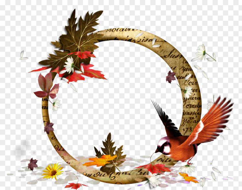 Autumn Clip Art PNG