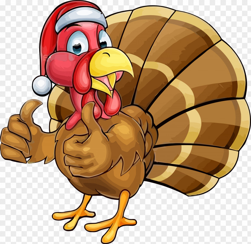 Bird Turkey Thanksgiving PNG