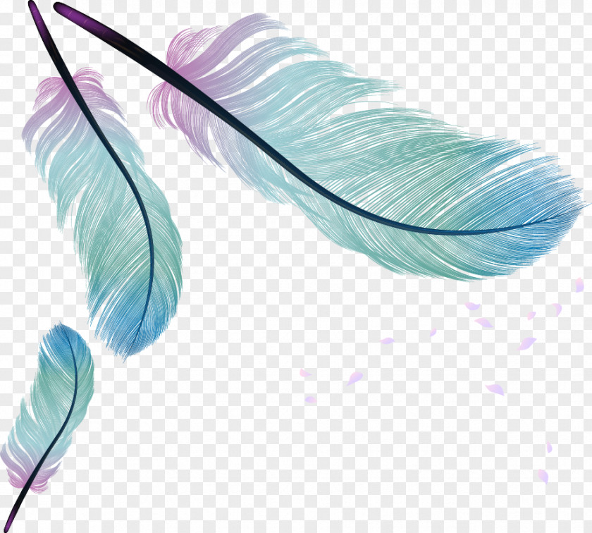 Cartoon Painted Feathers Feather Bird PNG