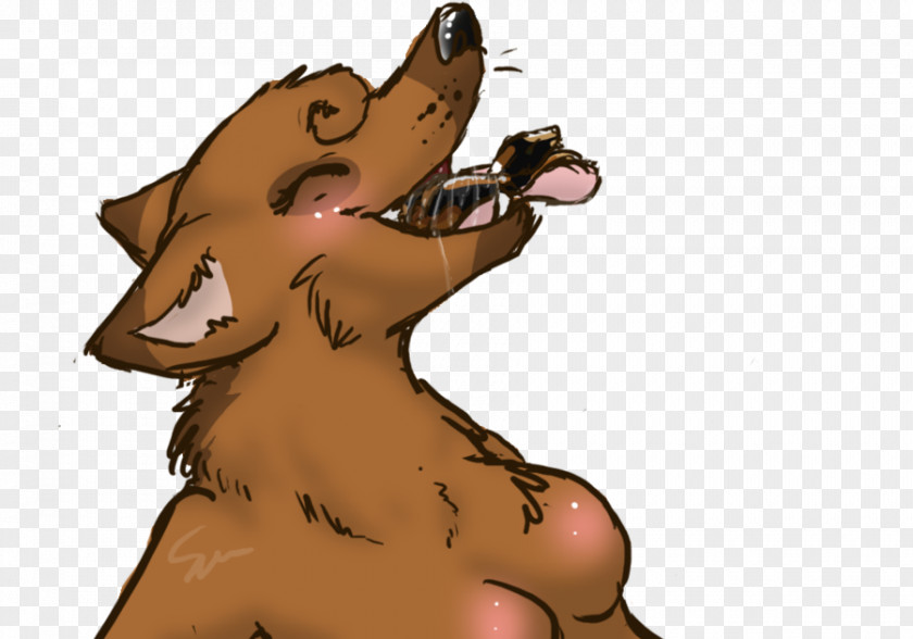 Dog Bear Snout Paw Cat PNG