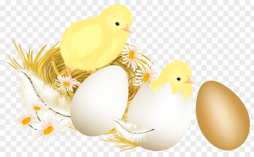 Easter Eggs And Chickens Picture Clipart Chicken Egg Illustration PNG