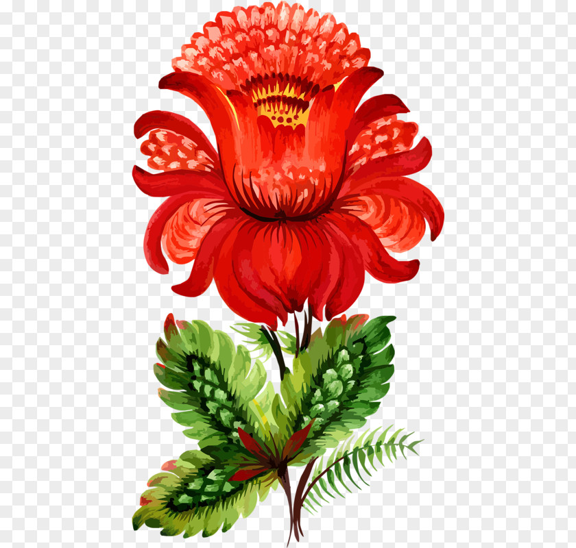 Pattern Ornament The Scarlet Flower Clip Art Floral Design Image PNG